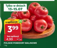 Pomidory