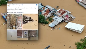 Na chińskich ulicach po powodziach pojawiły się groźne węże