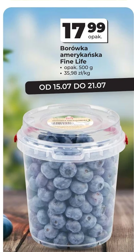 Чорниця Fine life