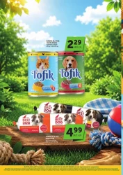 Katalog Lato - moje sklepy