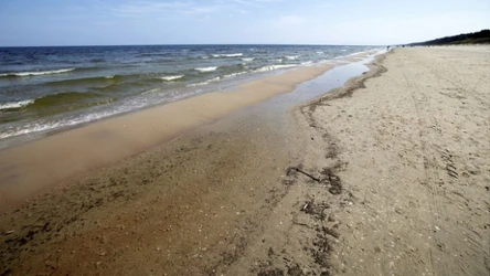 Niektóre miejsca nad Bałtykiem są szczególnie obfite w bursztyn