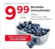 Чорниця