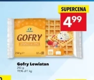 Gofry Lewiatan