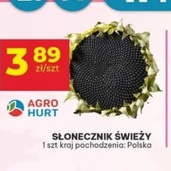 Соняшник Agro Hurt
