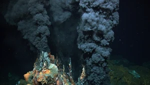 Japonia odkryła rekordowe ilości złota ukryte pod dnem oceanu