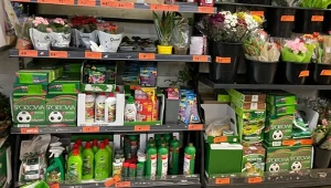 Biedronka ma sposób na podlewanie roślin podczas urlopu. Ten zestaw kosztuje tylko 99 zł