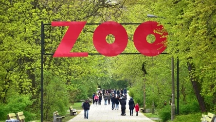W warszawskim zoo znaleziono sporą sumę pieniędzy