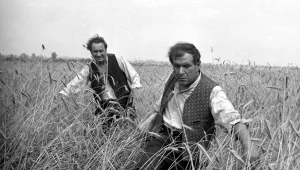 Kadr z filmu "Sami swoi"