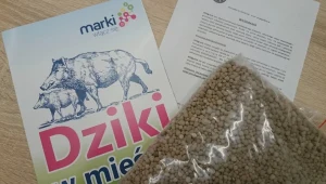 W Urzędzie Miasta Marki można pobrać specjalne pakiety antydzikowe