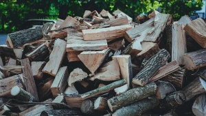 W lipcu koniecznie zrób zapas drewna. Eksperci: “Taniej nie będzie”