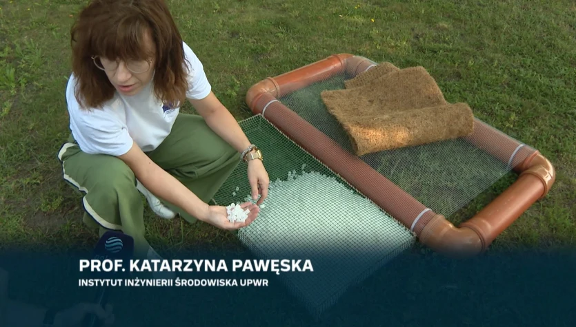 Specjalne sztuczne wyspy we Wrocławiu. Pomagają z jakością wody