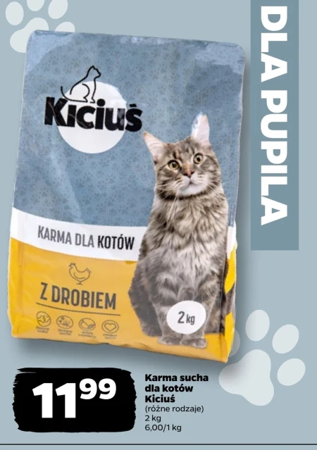 Корм для котів Kiciuś