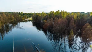 Oddana do użytku w 2022 r. obwodnica Bolesławia nazywana jest żartobliwie "podwodnicą"