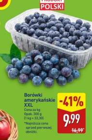 Borówki amerykańskie Polski