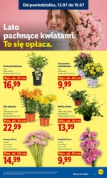 Szeroki wybór, pełny smak - Lidl