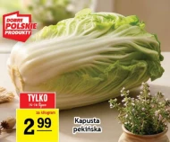 Kapusta pekińska