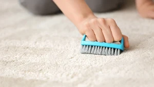 Odświeżanie dywanu bez prania. Będzie puszysty i pachnący jak w dniu zakupu