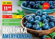 Borówka amerykańska