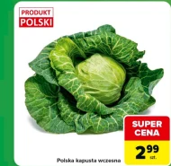Kapusta Polski