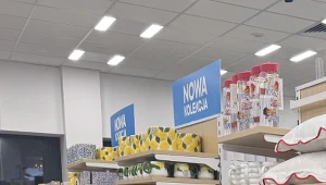 Od kosmetyczki po poduszkę pod szyję. Pepco pokazało nową kolekcję na wakacyjne wyjazdy