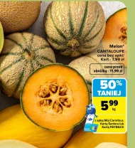 Melon Cantaloupe