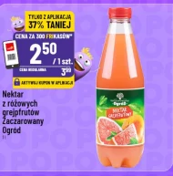 Nektar Zaczarowany Ogród