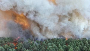 Płonący las Fontainebleau pod Paryżem. Ogień pojawił się w niedzielę w 10 miejscach jednocześnie. Władze podejrzewają podpalenie