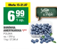 Чорниця Polski