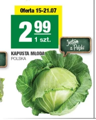 Kapusta młoda Polski