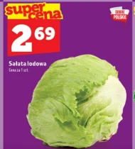 Sałata lodowa