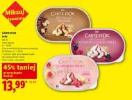 Lody Carte D'or