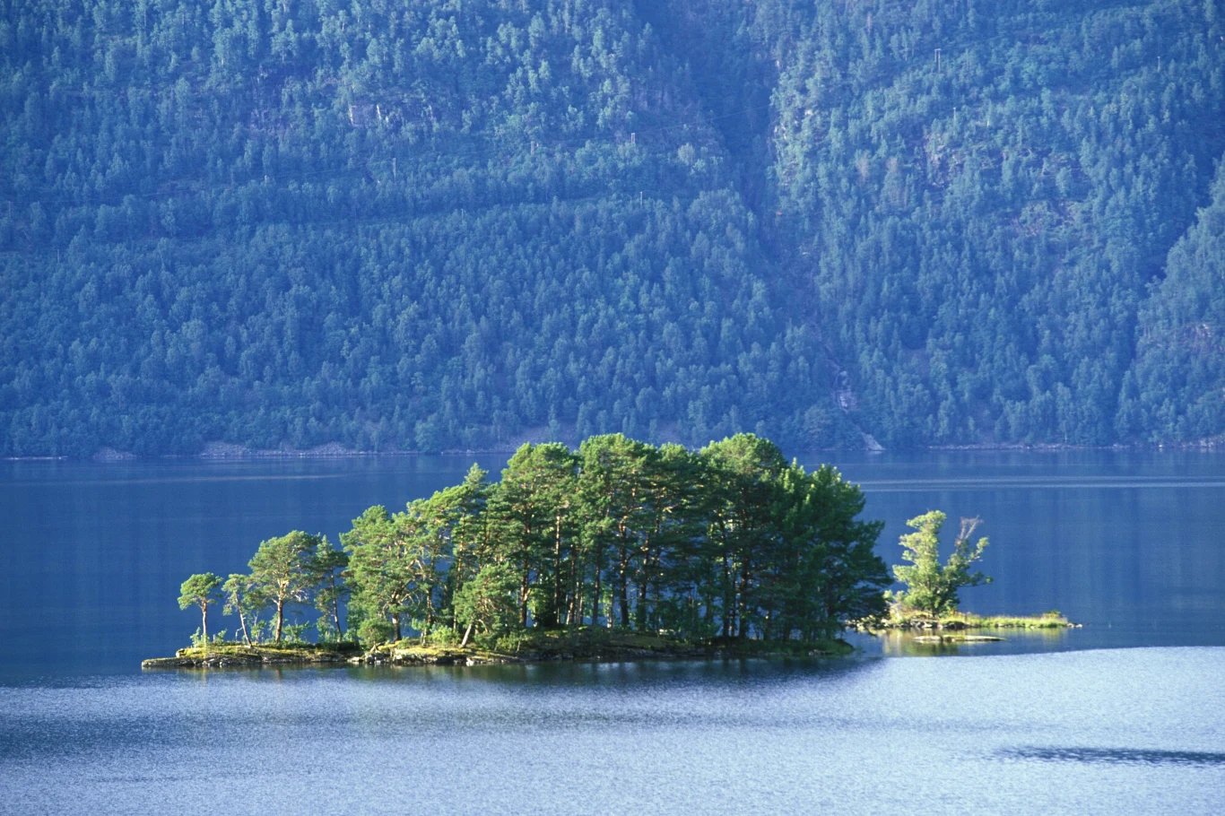 Jezioro Hornindalsvatnet w Norwegii słynie z zielonej plaży. To najgłębsze jezioro w Europie. Mała, gęsto zalesiona wyspa otoczona spokojną taflą jeziora na tle ciemnych, zalesionych zboczy.