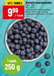 Borówki amerykańskie