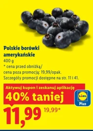 Borówki amerykańskie