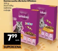 Karma dla kota Whiskas