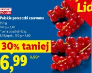 Porzeczki