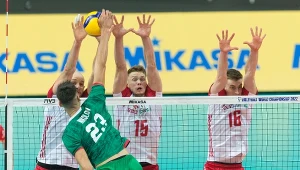 Afera po meczu Polska - Bułgaria. Złamali prawo. Widział to cały świat