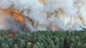 Pożar w lesie Fontainebleau
