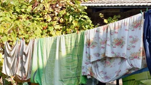 Pamiętaj podczas wywieszania prania. Prosty trik ratuje kolory