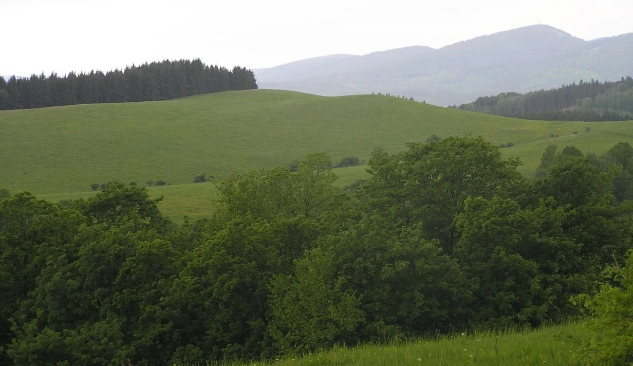 Góry Suche zachwycają miłośników przyrody i aktywnej wędrówki Widok na Góry Suche z pagórkowatym zielonym krajobrazem pod pochmurnym niebem. W tle zarys stromych szczytów.