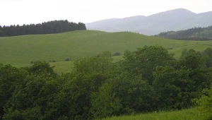 Góry Suche zachwycają miłośników przyrody i aktywnej wędrówki