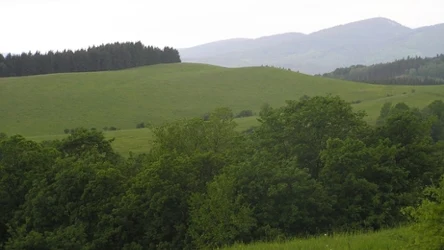Góry Suche zachwycają miłośników przyrody i aktywnej wędrówki