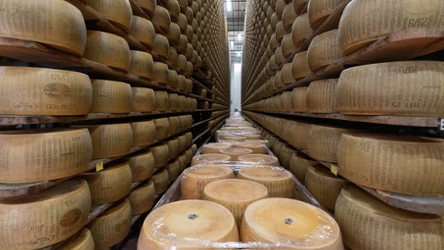 Rzędy kręgów Parmigiano Reggiano dojrzewają na drewnianych półkach w klimatyzowanym magazynie w Montecavolo di Quattro Castella we Włoszech, 6 lipca 2026 roku.
