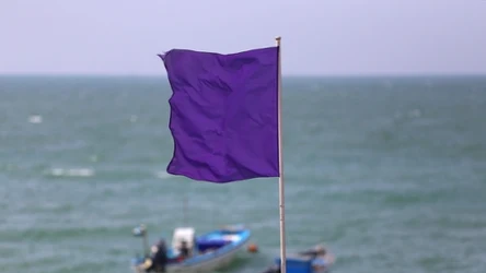 Co oznacza fioletowa flaga na plaży? 