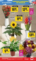 Promocje tygodnia - POLOmarket