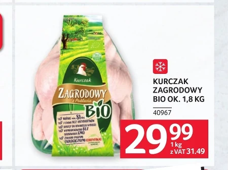 Курка Zagrodowy
