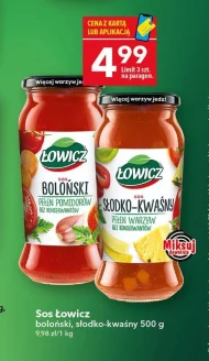Sos Łowicz
