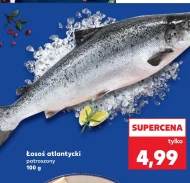 Лосось Łosoś