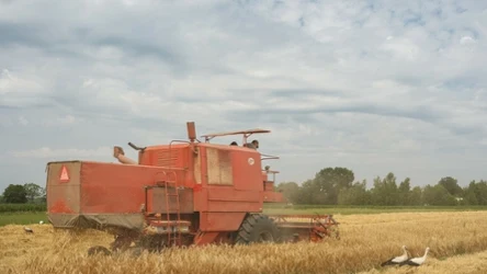 Rolnicy ponownie wyszli na ulice, domagając się natychmiastowej pomocy i interwencji rządu