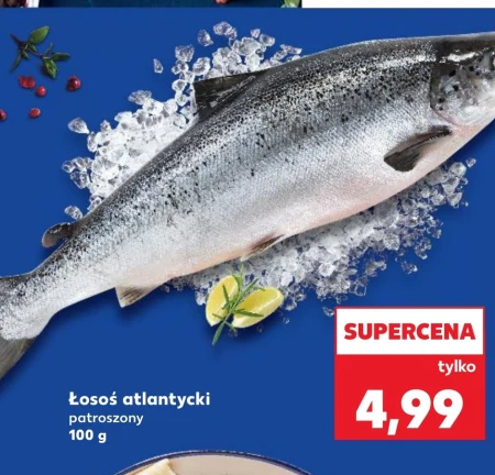 Лосось Łosoś